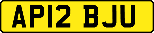 AP12BJU