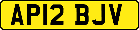 AP12BJV