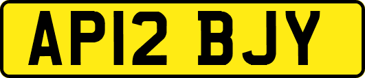 AP12BJY