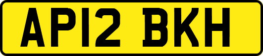 AP12BKH