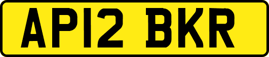 AP12BKR
