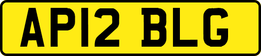 AP12BLG