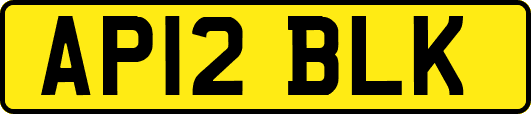 AP12BLK