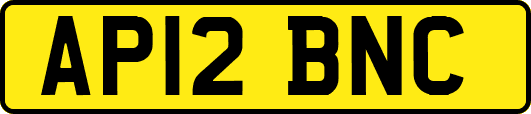 AP12BNC