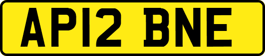 AP12BNE
