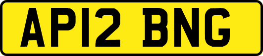 AP12BNG