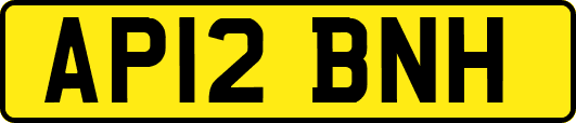 AP12BNH