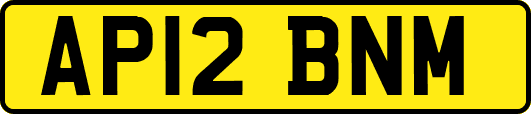 AP12BNM