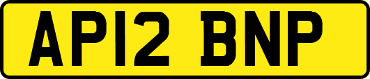 AP12BNP