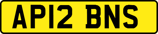 AP12BNS