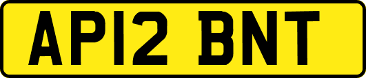 AP12BNT