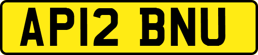 AP12BNU