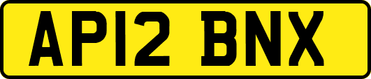 AP12BNX