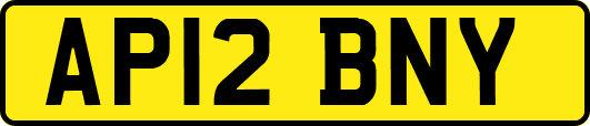 AP12BNY