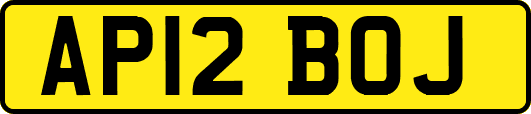 AP12BOJ