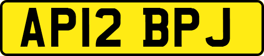 AP12BPJ
