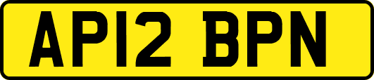AP12BPN