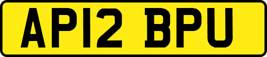 AP12BPU