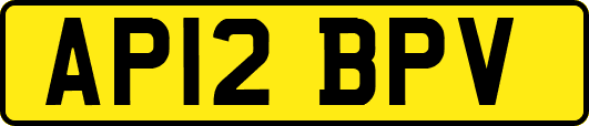 AP12BPV