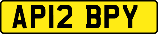 AP12BPY