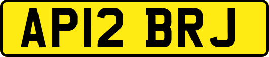 AP12BRJ