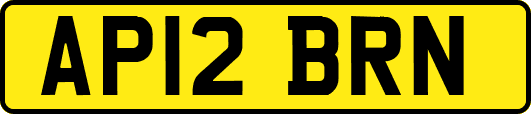 AP12BRN