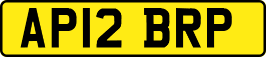 AP12BRP