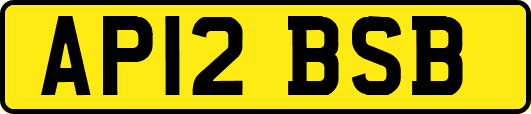 AP12BSB