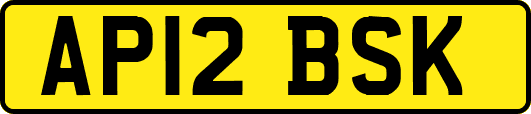 AP12BSK