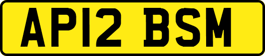AP12BSM