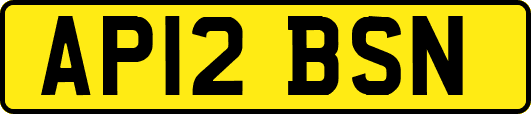 AP12BSN