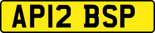 AP12BSP