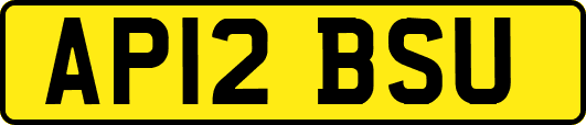 AP12BSU