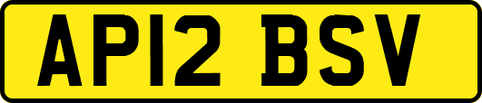 AP12BSV