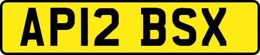 AP12BSX