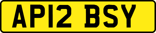 AP12BSY