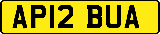 AP12BUA