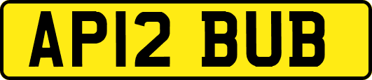 AP12BUB