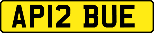 AP12BUE