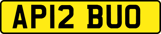 AP12BUO