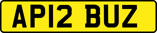 AP12BUZ