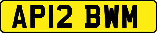 AP12BWM