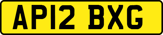 AP12BXG