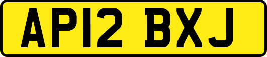 AP12BXJ
