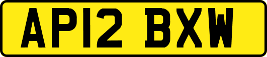 AP12BXW