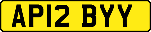AP12BYY