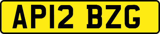 AP12BZG
