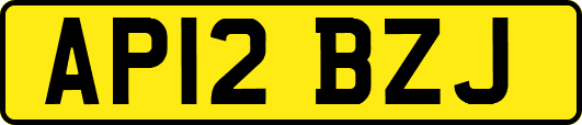 AP12BZJ