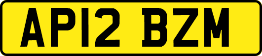 AP12BZM