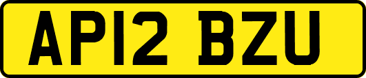 AP12BZU